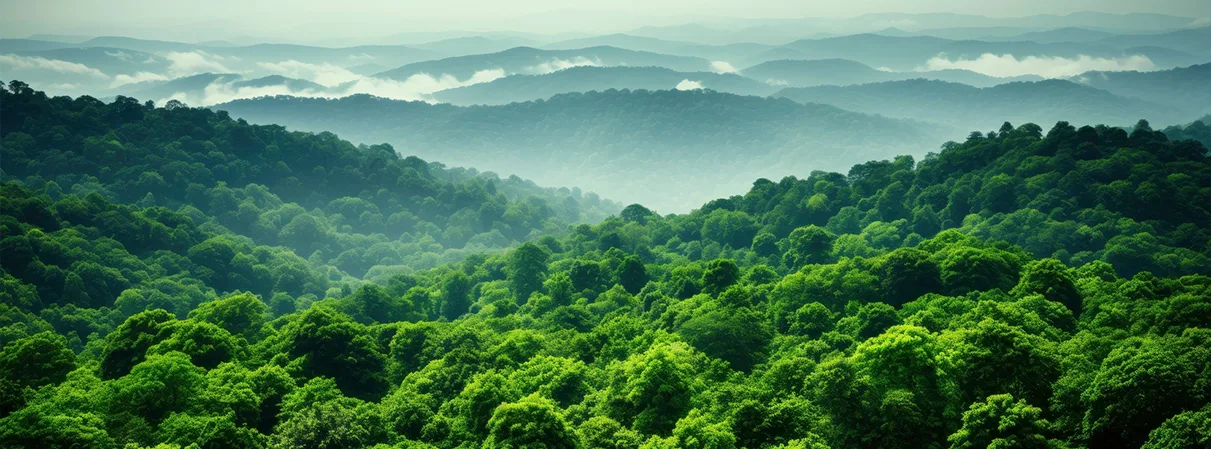 Linha GigaLAN Green da Furukawa compõe a rede da nova planta sustentável da Biotrop, em Curitiba