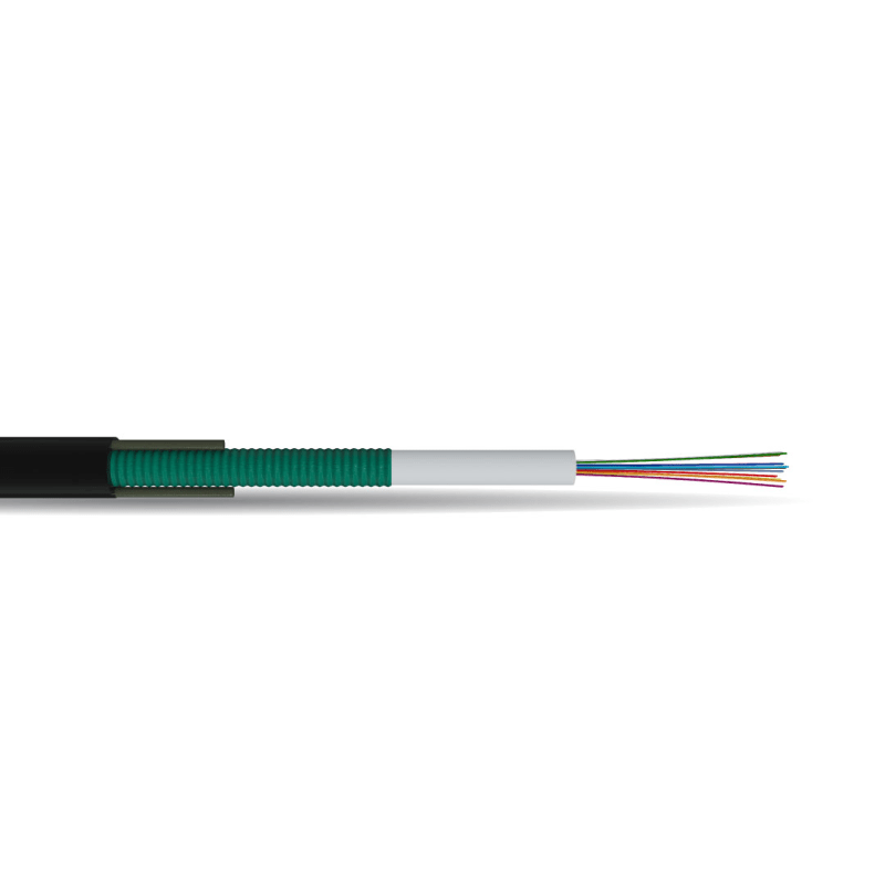 Mini C2™ DT Cable – Totally Gel Free