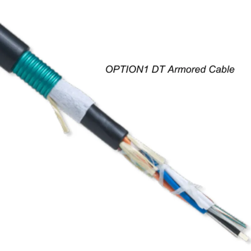 OPTION1 DT Armored Outdoor/Indoor Cable